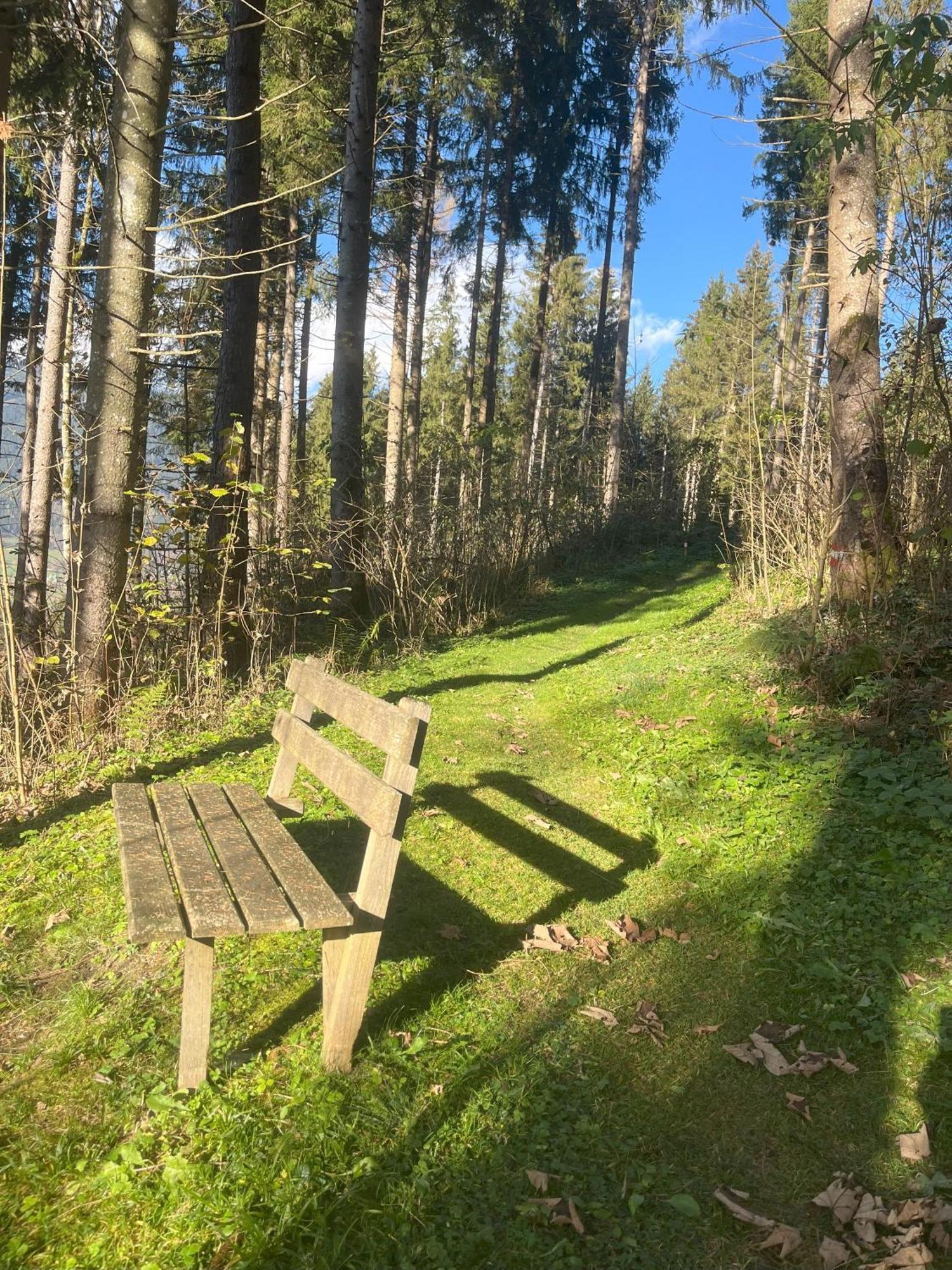 Haus Voglreiter - Inkl Sommerkarte, Zentrale Und Ruhige Lage, Garten Mit Spielplatz Kaprun Eksteriør billede